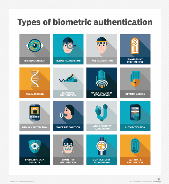 The Future of Biometric Authentication